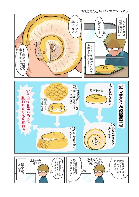 脱皮の準備 