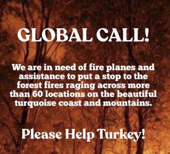 Gülseren (@glseren16347960) on Twitter photo 