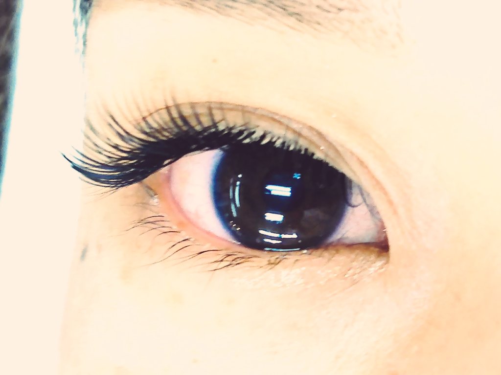 無料マツエクモデル募集 Iflビューティーカレッジ Iflschool Twitter