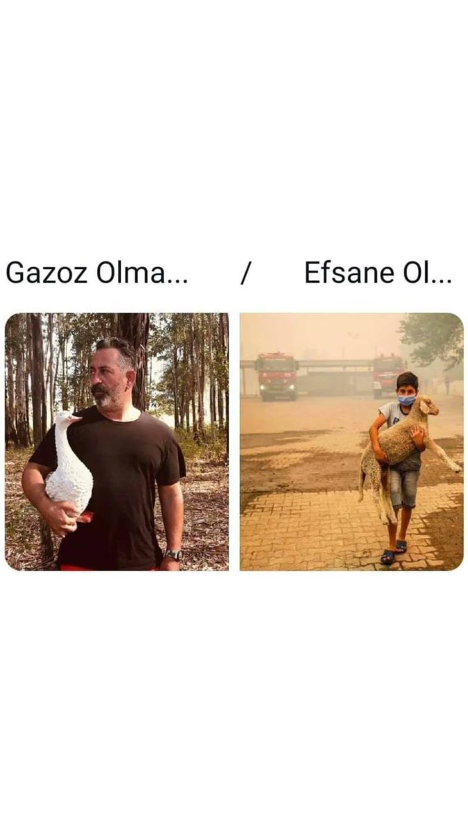 AnonymousUrfan's tweet photo. #gazoz olma......../ #efsane ol!!!!!
@CMYLMZ https://t.co/8tyPvZH4rA