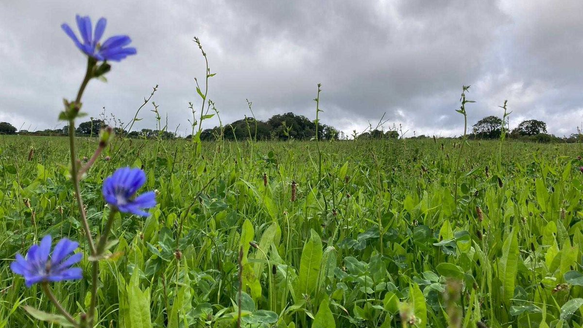 NaturalEngland's tweet image. Farmers have an important role to play in ensuring our watercourses are protected from pollution.

An extra £17m of funding means all farmers in England can benefit from our Catchment Sensitive Farming partnership to get advice on protecting water quality: gov.uk/government/new…