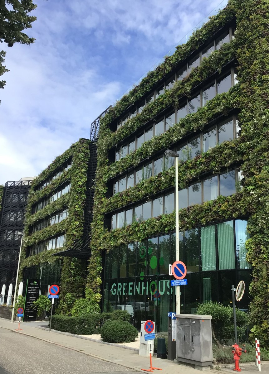 A recent visit from our maintenance team shows the Greenhouse Antwerp as a beautiful green sight! The aptly named office and coworking space features one of the biggest green facades on an office building in Belgium. #SemperGreenwall #livingwalls #antwerp #greenhouseoffices