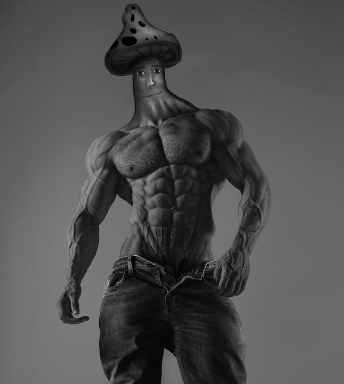 накаченный рабочий. сигма качок. итто гигачад. эрнст халимов gigachad. гигачад геншин.