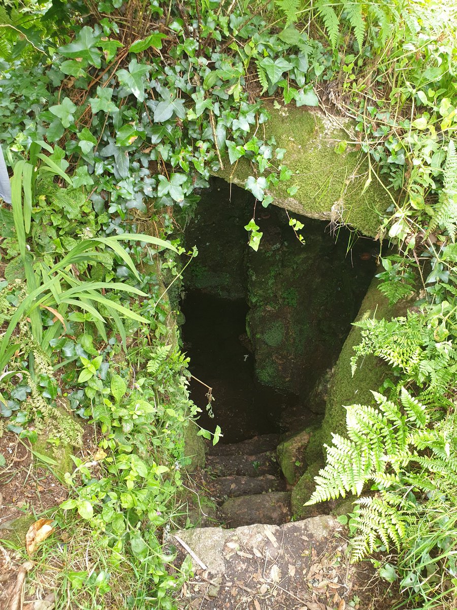 Gulfareen's tweet image. Today's first site Sancreed Holy Well. These places are hard to find and get to but once there, so peaceful!
#holywell
#familyfun
#exploringtogether
