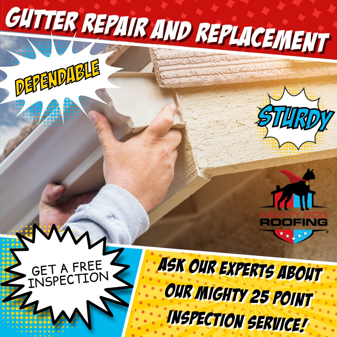 The gutters on your home have the important job of keeping the rain and water off your roof and away from your foundation. This is not a part of your home that you want to neglect. Learn more and contact us today for a free quote: mightydogroofing.com/gutters