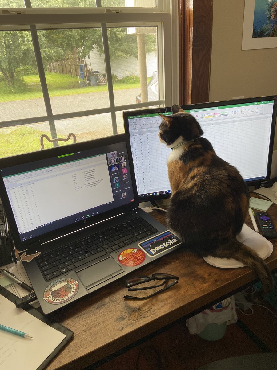 Fish_Baetz's tweet image. Charlotte and I had a great first day at @stem_ou #CODEWORKSHOP learning about data visualization in Excel!! Excited to keep coming back this week to learn more 😻
