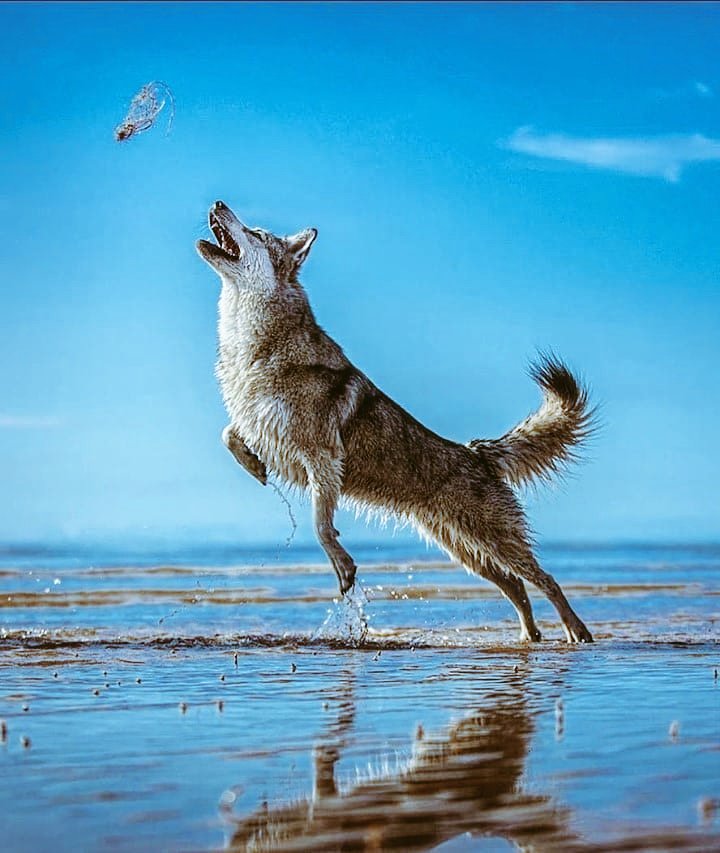 Tugay Hatayli tweet media