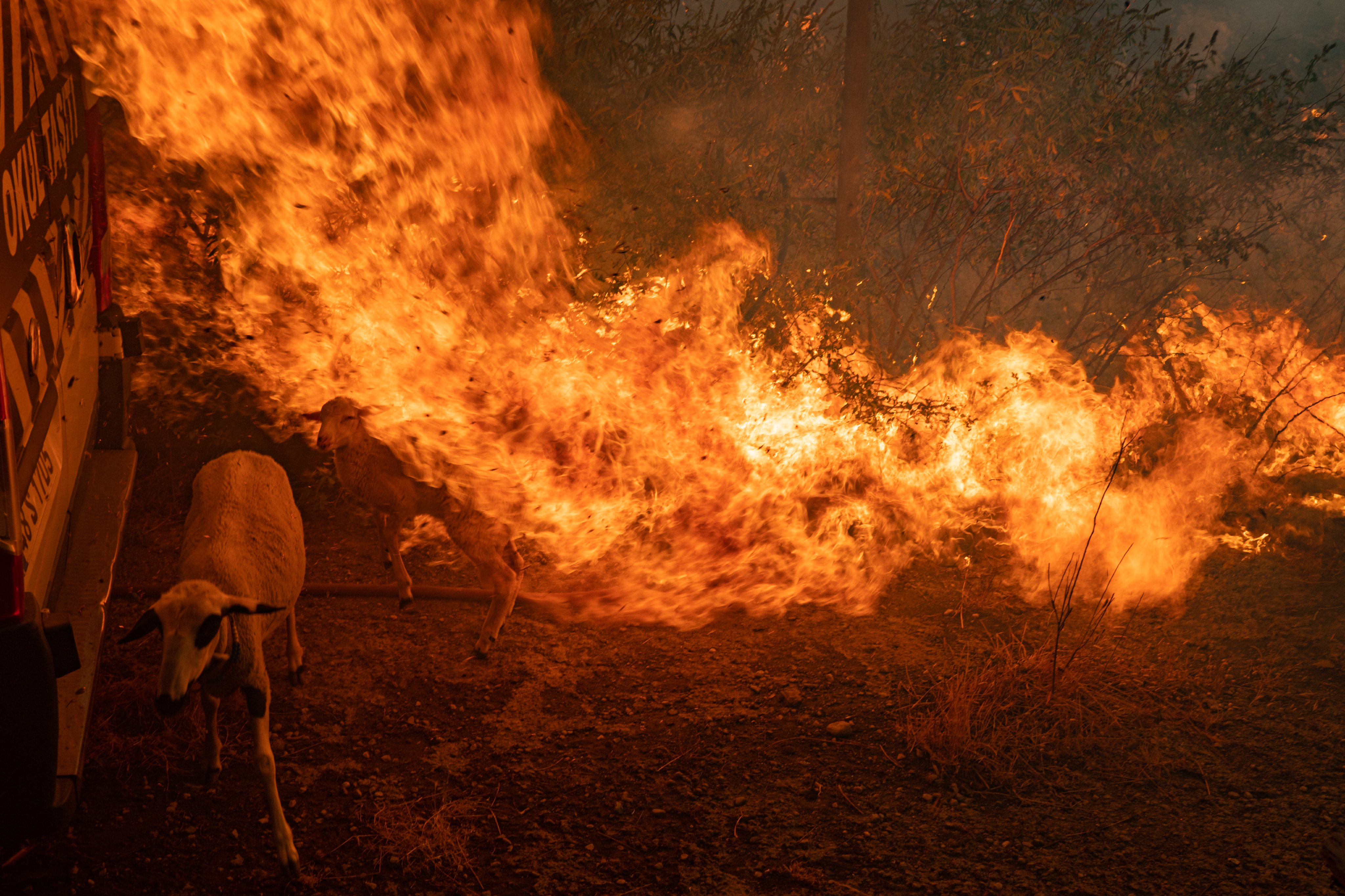 Bulent KILIC (@Kilicbil) / Twitter