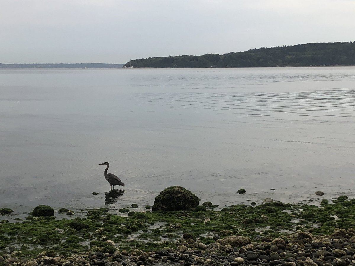 2ManuallyFocus's tweet image. Mood.