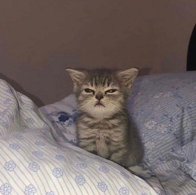 ColourPopCo's tweet photo. when it's monday morning and you don't have any think https://t.co/058dAL96Jd