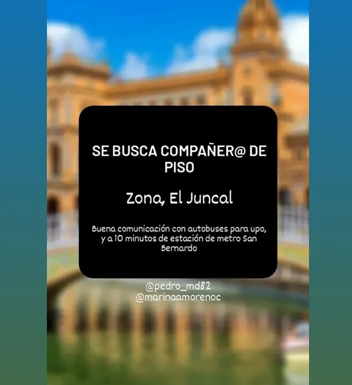 peedriitoo11's tweet photo. #pisosevilla #queydondeestudiar2021 #US #PisosCotilleoUS #pisoestudiantes https://t.co/sRnfZRaGQc