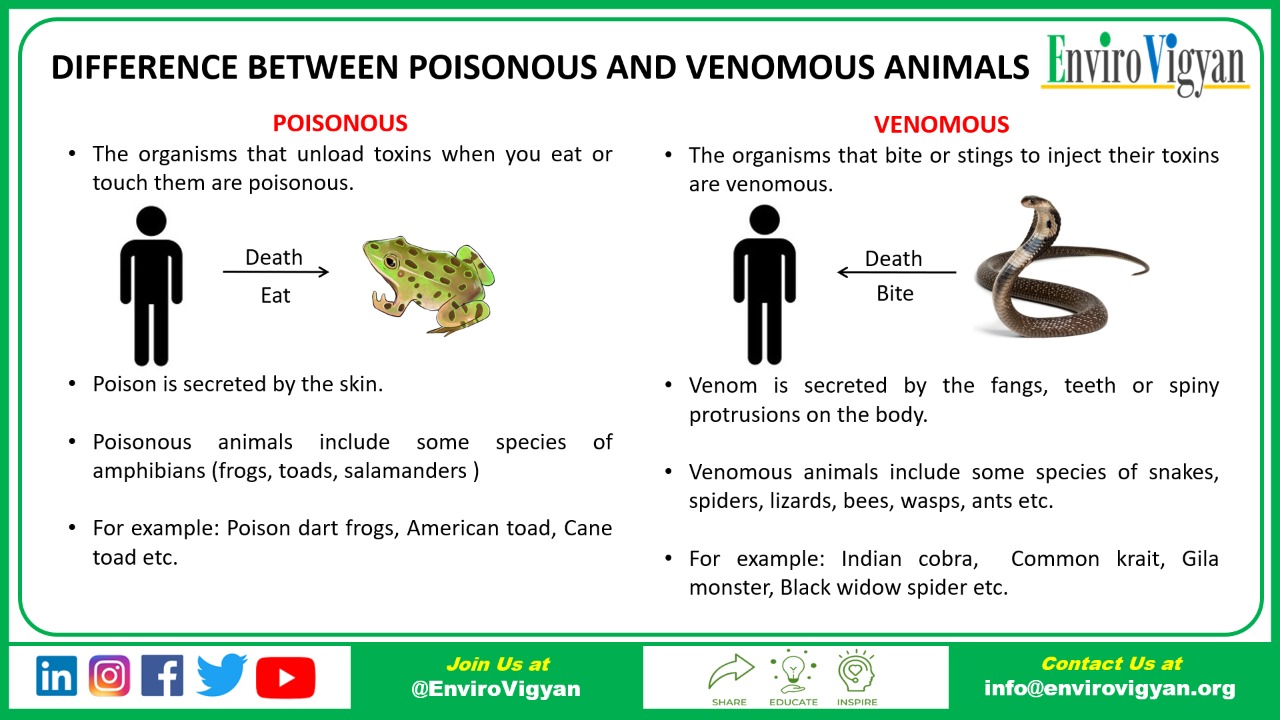 Differences Between Poison And Venom Origins And Examples 57 Off Differences Between Poison And Venom Origins And Examples 57 Off