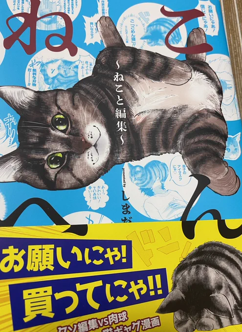 悪い編集を猫が倒す漫画、「ねこへん」単行本が発売中です各話ごとにこの漫画の編集さんとのやり取りなどを描いた書き下ろし漫画もあります。紙媒体をお求めのお方は通販やお取り寄せが確実ですので、よろしければドウゾ  