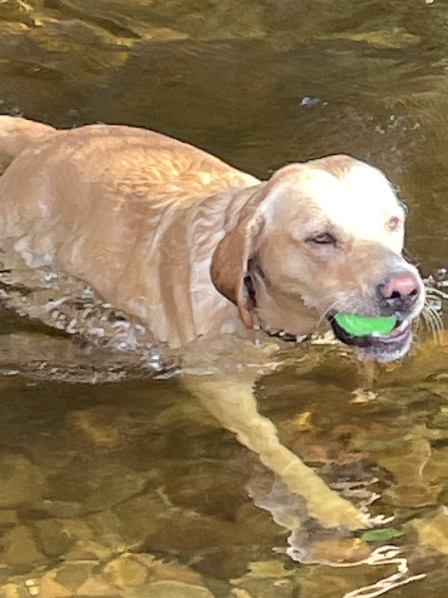 No words……….#Braemar#happyplace