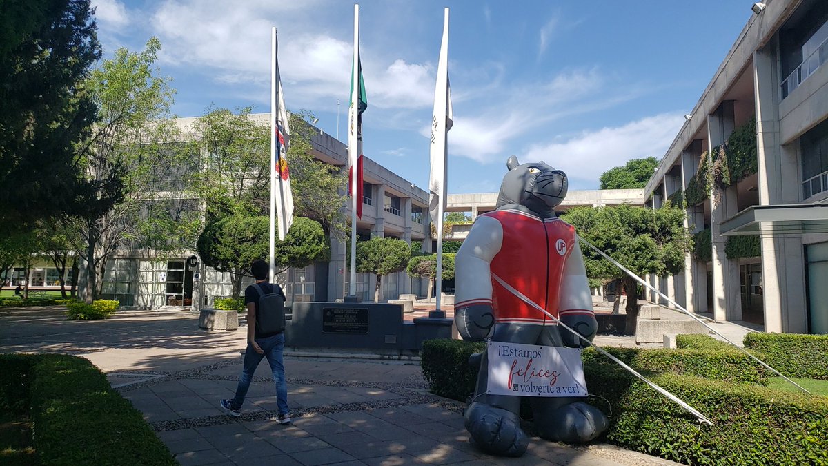 Gabriel Dominguez tweet media