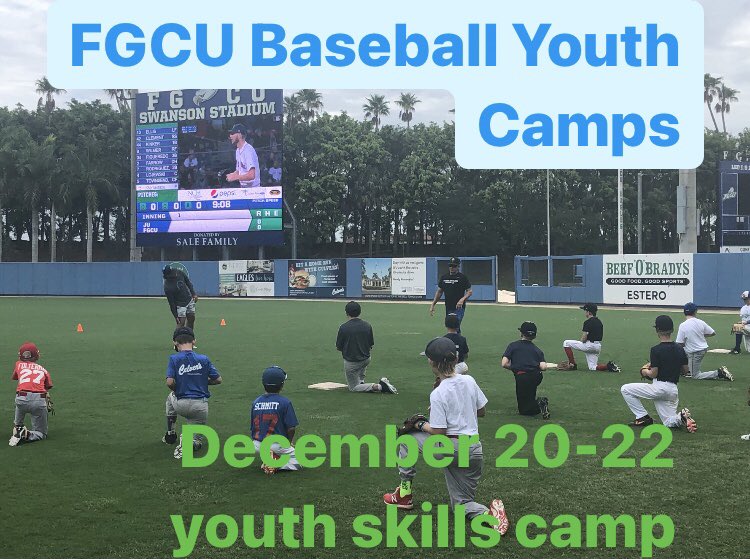 FGCU Baseball Camps ⚾️ on Twitter "Next to the plate… FGCU Holiday