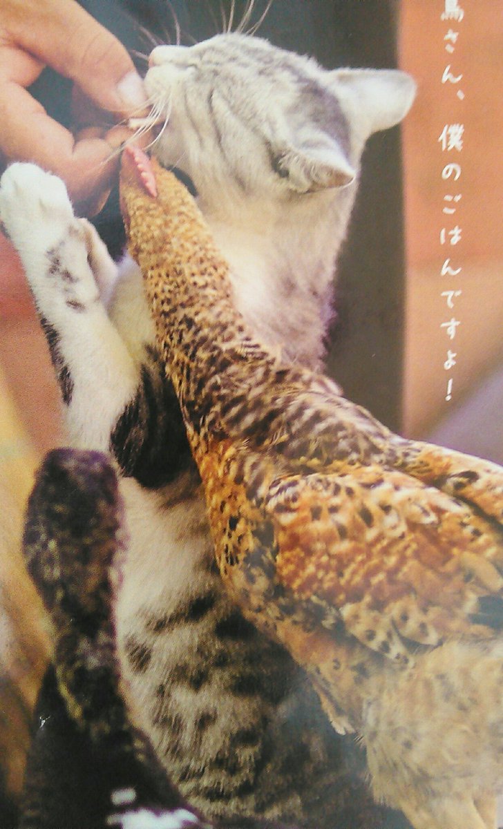Hashtag ジョージ ワシントン Sur Twitter