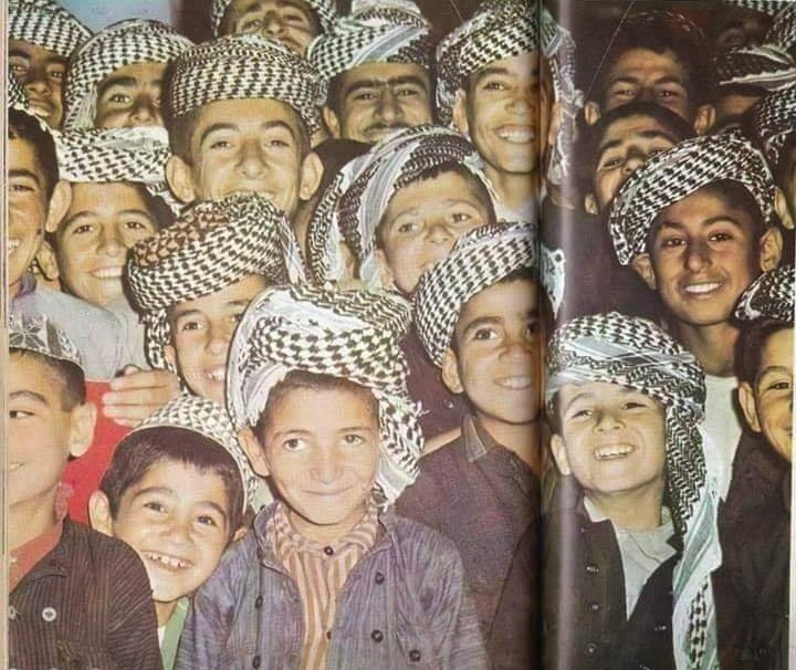 Serçiya^ سەرچیا tweet media