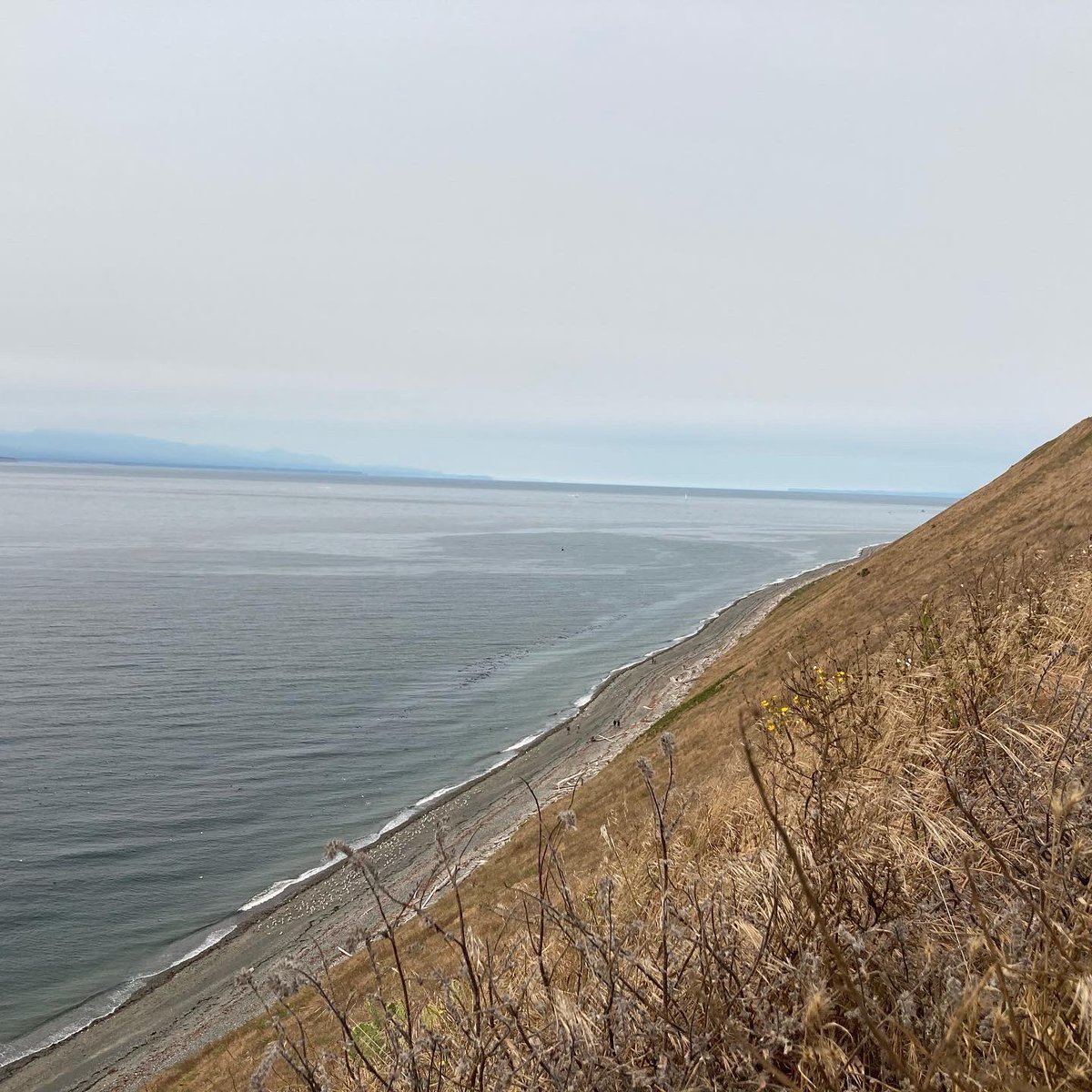 Couple angles of the Salish Sea to start your Monday. Can you guess the locations?

#salishsea, #pnw, #nwstraitsfnd