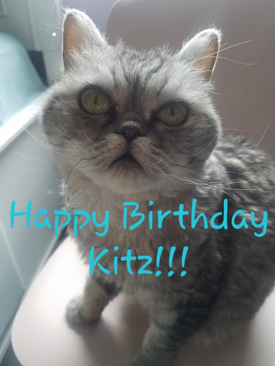 steve, righ? tweet media