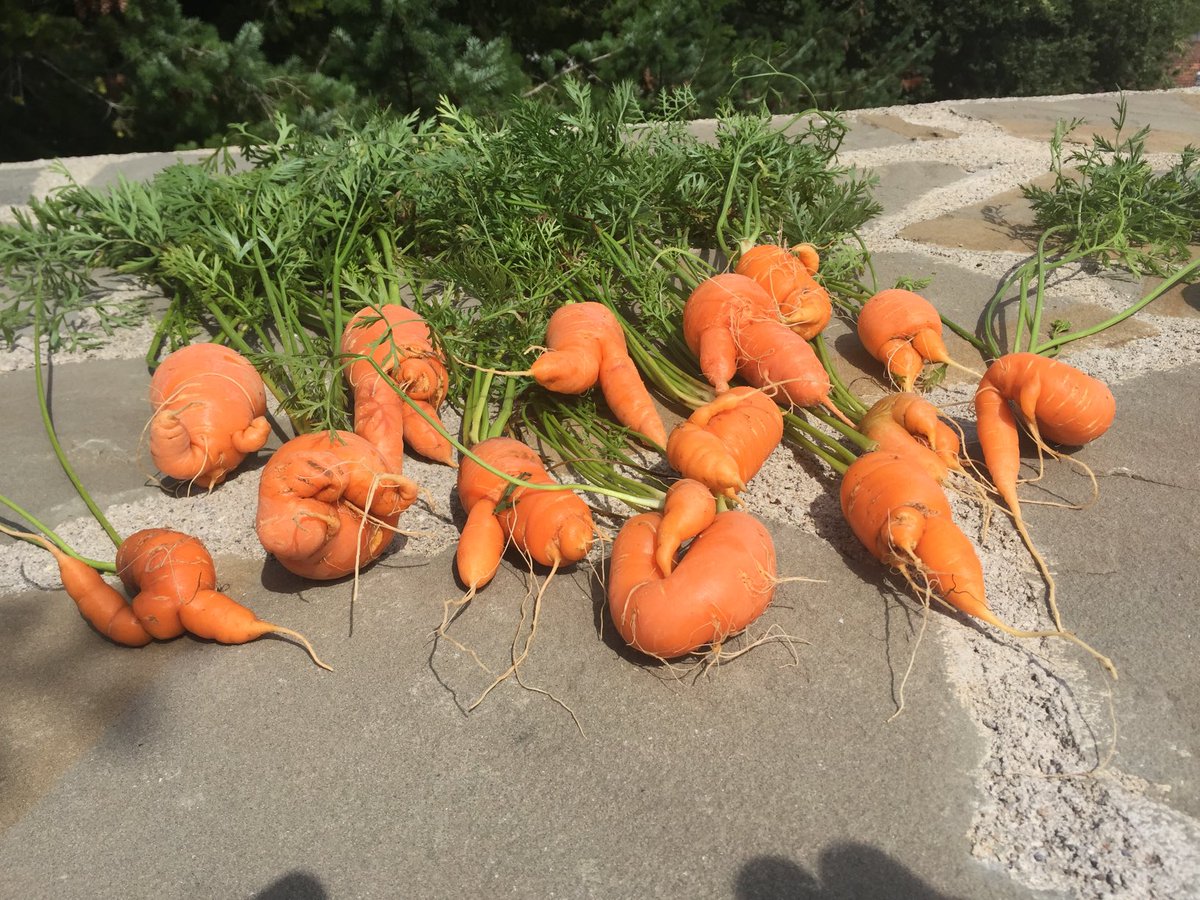 gfavin's tweet image. 