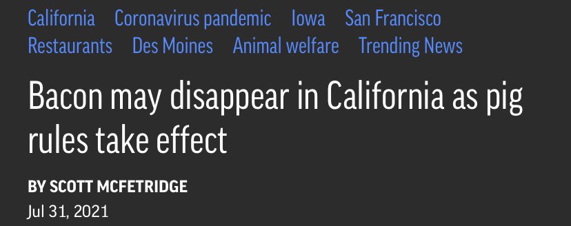 The pig lovers are rejoicing, the pig eaters are squealing.