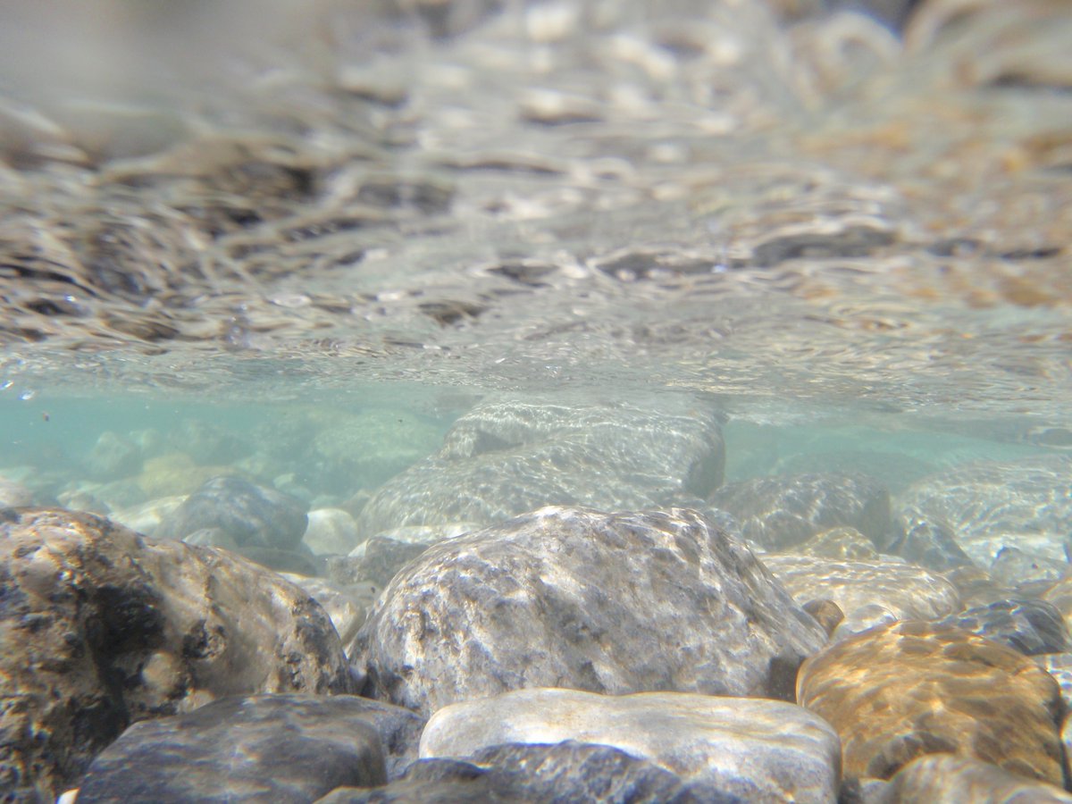 Have you ever wanted to be a #scientist? Join Ghost Watershed Alliance Society on Aug 10 for a #citizenscience project and #test #waterquality!

Register: eventbrite.ca/e/creekwatch-w…

#CEPCalgary #CEP #environment #sustainability #citizenscience