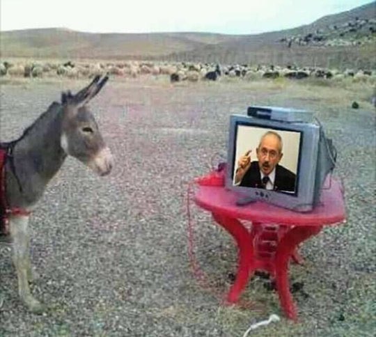 Yalancı Kılıçdaroğlu.😂