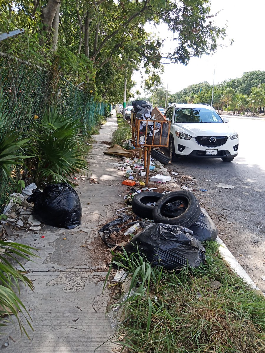 yowali's tweet photo. Necesitamos con urgencia que se quite ese basurero, es un tremendo foco de infección está sobre av. Cancún a lado de la iglesia de SanJuan @ServPublicosBj https://t.co/MV9Sn5E2nl