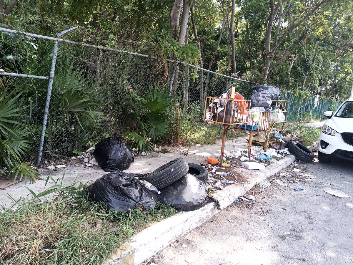 yowali's tweet photo. Necesitamos con urgencia que se quite ese basurero, es un tremendo foco de infección está sobre av. Cancún a lado de la iglesia de SanJuan @ServPublicosBj https://t.co/MV9Sn5E2nl
