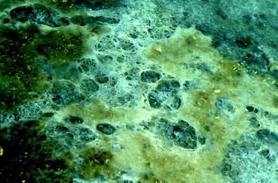 MicroMGx tweet media