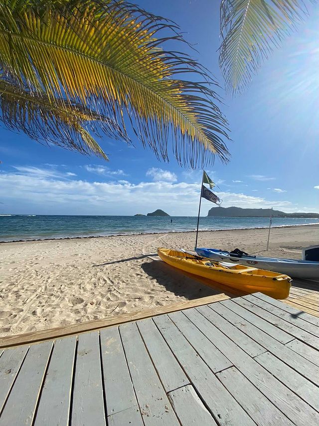 Coconut Bay St Lucia tweet media