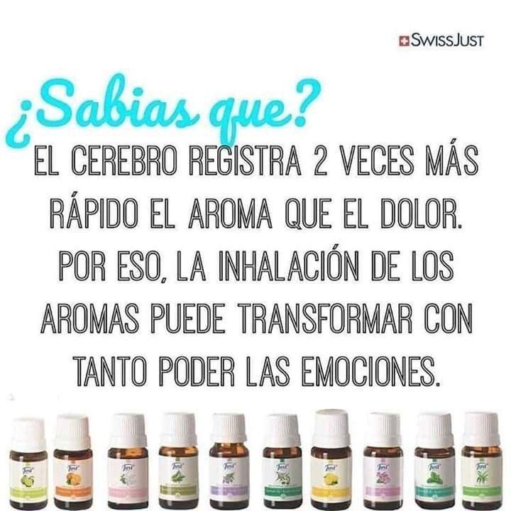 ClauJust17's tweet photo. #Just
#Bienestar Natural

✳ ¿Aromas? 
✅ ¡¡¡ Curan !!!

✔Escribime y te    
     cuento!!!

@ClauJust17 https://t.co/hMIytJfqzU