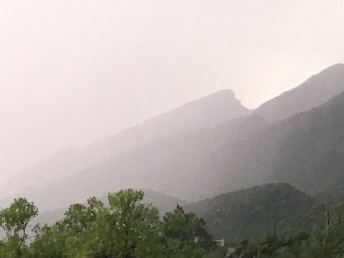 jacqui_eckert's tweet photo. Spent a few days in Santa Catalina Mountains🌵Enjoying our RECORD BREAKING💦(almost 9inches) of #2021monsoon @ONELONEDOLPHIN @nocturnamine @hellvensent @Dinki777 @tymajestic @BlossyhillLynne #localdiscountsROCK 💕🌵🌹🌈🌎🥰 #ventanacanyon Saguaros NEVER had this much rain-1864🌵 https://t.co/LkiRASOzrS