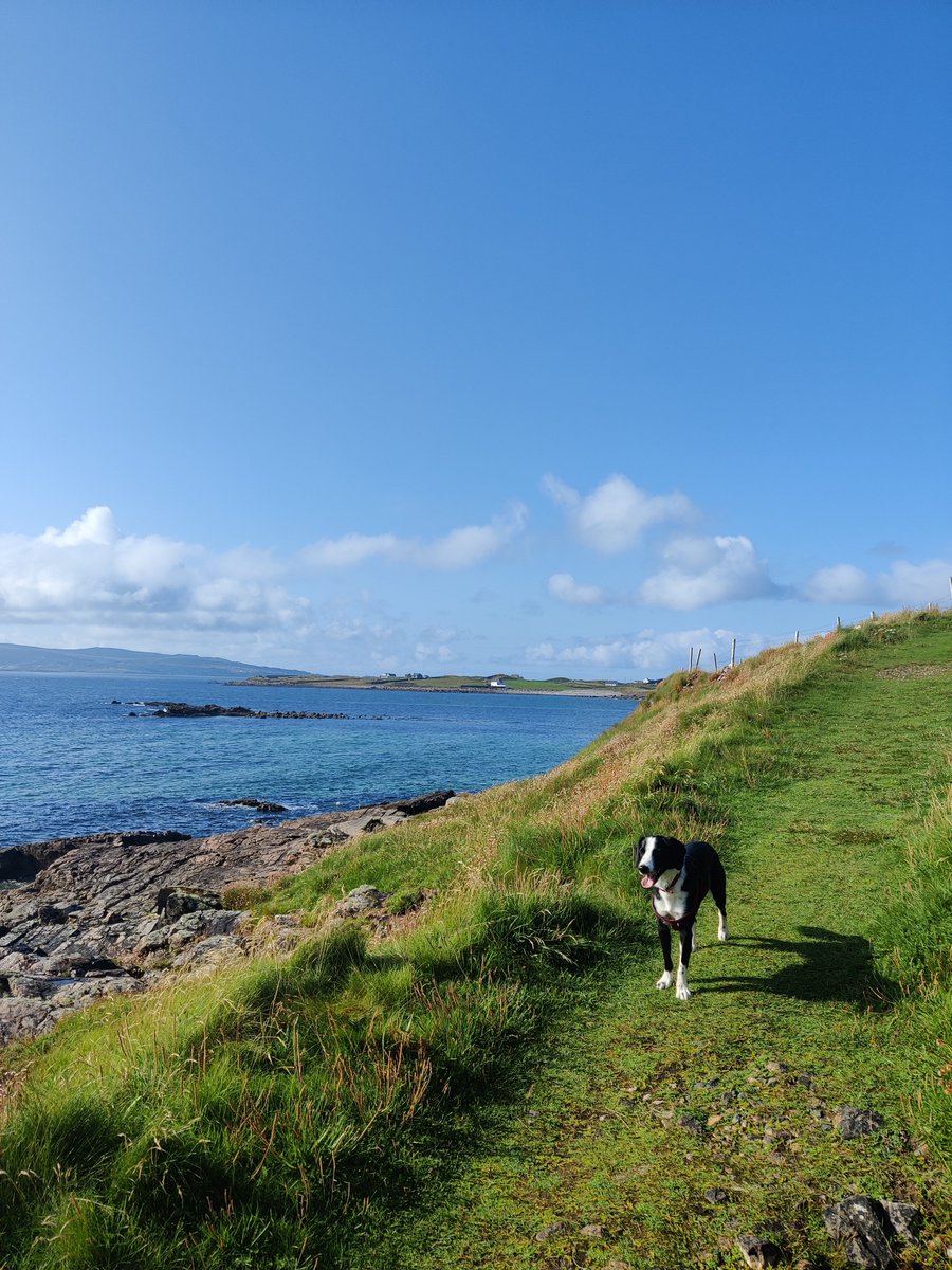 ClaralW93's tweet photo. Day 2 #WeActiveChallenge ... Cliff walks and beach walks to get the steps in! #AHPsActive Watson's definitely going to be fitter after all this! https://t.co/I14Zaym9qc
