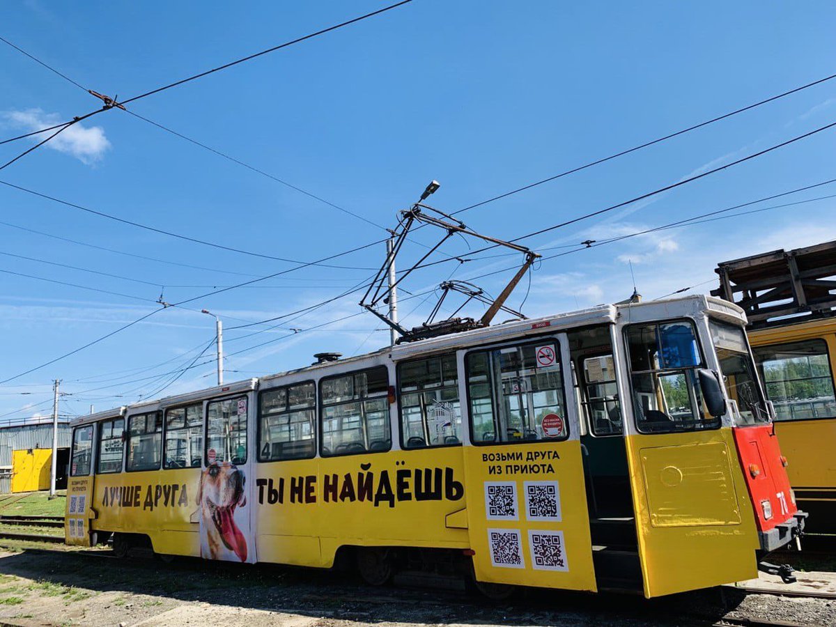 Alexkanaev's tweet image. Лучше друга не найдешь 
 
🐶 Сегодня на улицы Череповца вышел “песотрамвай”. m.vk.com/wall205966366_… #Череповец #бездомныеживотные #доброделы #зоозащита #песотрамвай #депутат #Канаев