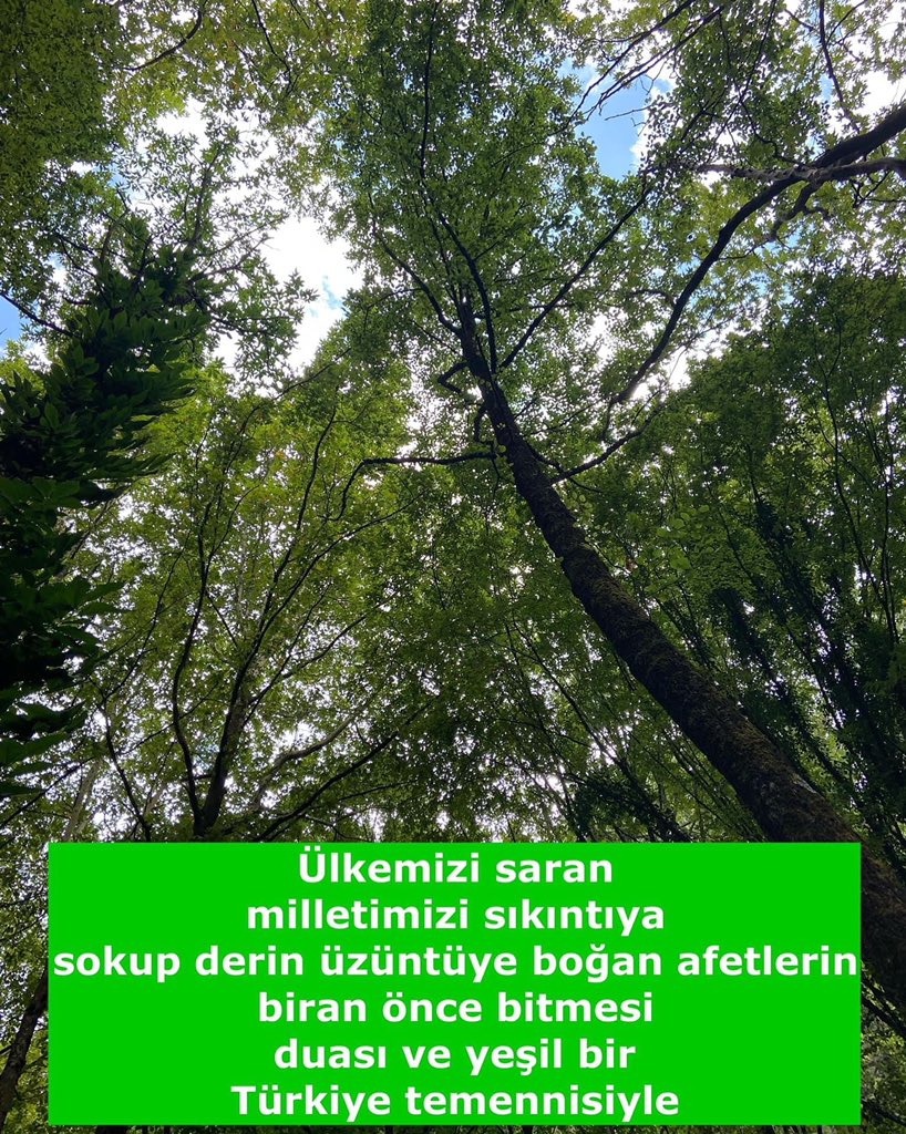 𝓘̇𝓫𝓻𝓪𝓱𝓲𝓶 𝓚𝓞𝓛𝓓𝓐𝓜𝓒𝓐 (@ibrahimkoldamca) on Twitter photo Uzmanların söylemesine göre Yeşermesi için 15 yıla, eski haline gelmesi için 40 yıla ihtiyaç var deniyor.😥
Ülkemizi saran milletimizi sıkıntıya sokup derin üzüntüye boğan afetlerin biran önce bitmesi duası ve yeşil bir Türkiye temennisiyle 🇹🇷🇹🇷🇹🇷 Uzmanların söylemesine göre Yeşermesi için 15 yıla, eski haline gelmesi için 40 yıla ihtiyaç var deniyor.😥
Ülkemizi saran milletimizi sıkıntıya sokup derin üzüntüye boğan afetlerin biran önce bitmesi duası ve yeşil bir Türkiye temennisiyle 🇹🇷🇹🇷🇹🇷