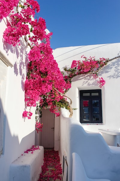 Peydro4's tweet photo. Peydro4 te desea unas felices vacaciones. Y al que ya las haya tenido, que la vuelta le sea muy grata, agosto es un buen mes para descubrir tu ciudad.
Un saludo a todos!

Photo By Tamara Budai | Unsplash 
 #greekrestaurants #greekfoods #worldpeace #moderndance #greek https://t.co/cifLTdcLlH
