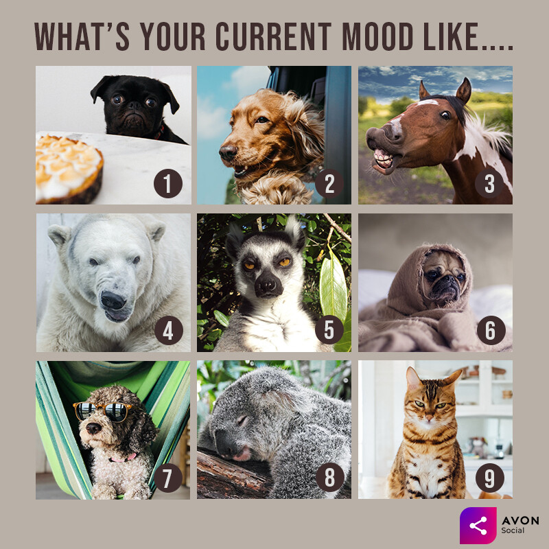Rms & peak to peak. Electric current is. What is your current. What is resistance. What is electric current.