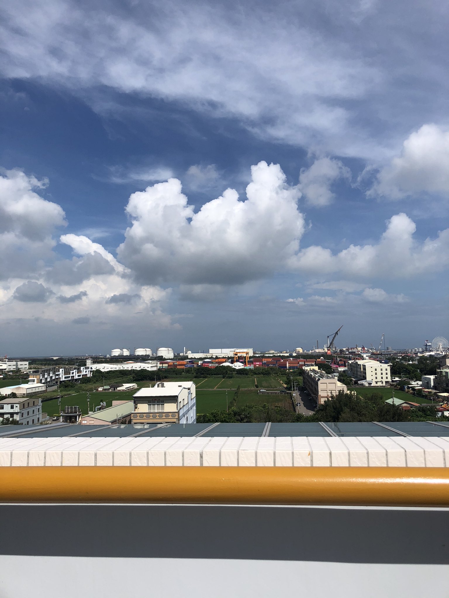 傻子與白痴 Twitter Search Twitter