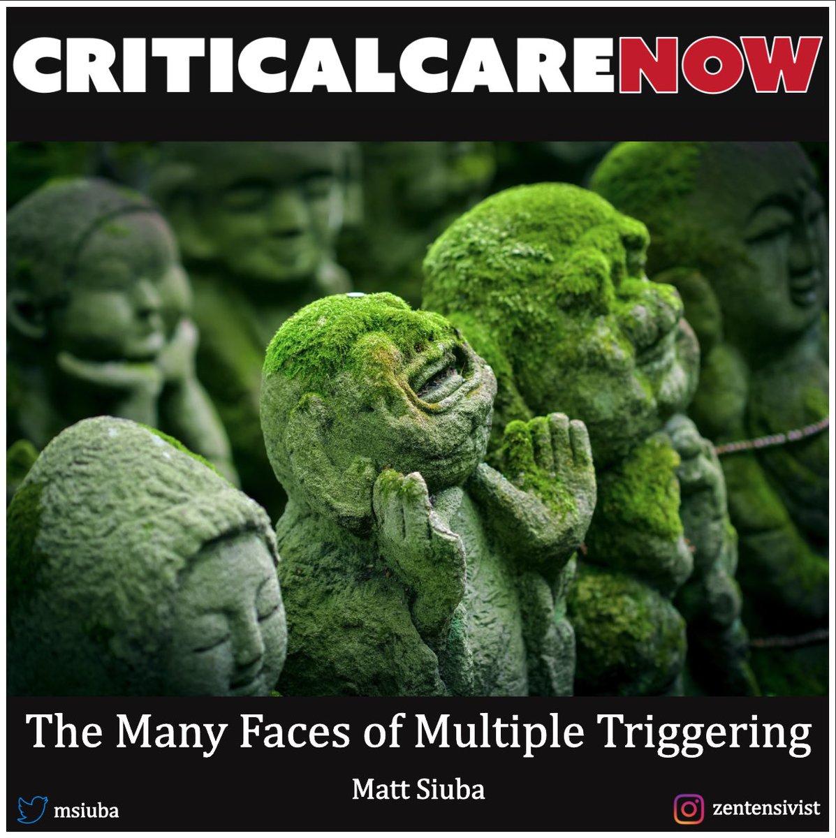 msiuba's tweet photo. New #CriticalCareNow infographic/post is live!
Not all “double stacking” is the same:
The Many Faces of Multiple Triggering
https://t.co/6NKHsWwQGe https://t.co/HelSWAVdb9