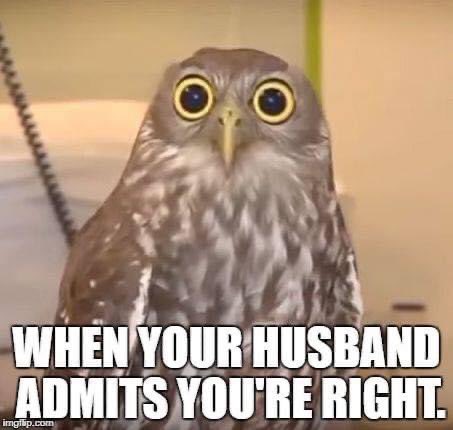 Only once in a blue moon😒  #wifes #jokes #Memes #daddiesgirl #FolloForFolloBack #FolloMe #followback<a href="/tag/wifes"class="tags">#wifes</a><a href="/tag/jokes"class="tags">#jokes</a><a href="/tag/memes"class="tags">#Memes</a><a href="/tag/fun"class="tags"><span>#fun</span></a><a href="/tag/marriedlife"class="tags"><span>#marriedlife</span></a><a href="/tag/marriage"class="tags"><span>#marriage</span></a><a href="/tag/followback"class="tags"><span>#followback</span></a><a href="/tag/follome"class="tags"><span>#follome</span></a>