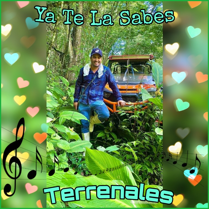 club_terrenales's tweet photo. Club Terrenales 👈 te invitamos a escuchar 📢 lo más nuevo de #JulionAlvarez #YSNB 👈🎶👌 
#YaTeLaSabes 👏💯 @lospasosdejuli1 @TerrenalesGomez #TerrenalesChihuahua #AmoSerTerrenal https://t.co/uoNMzLoH4P