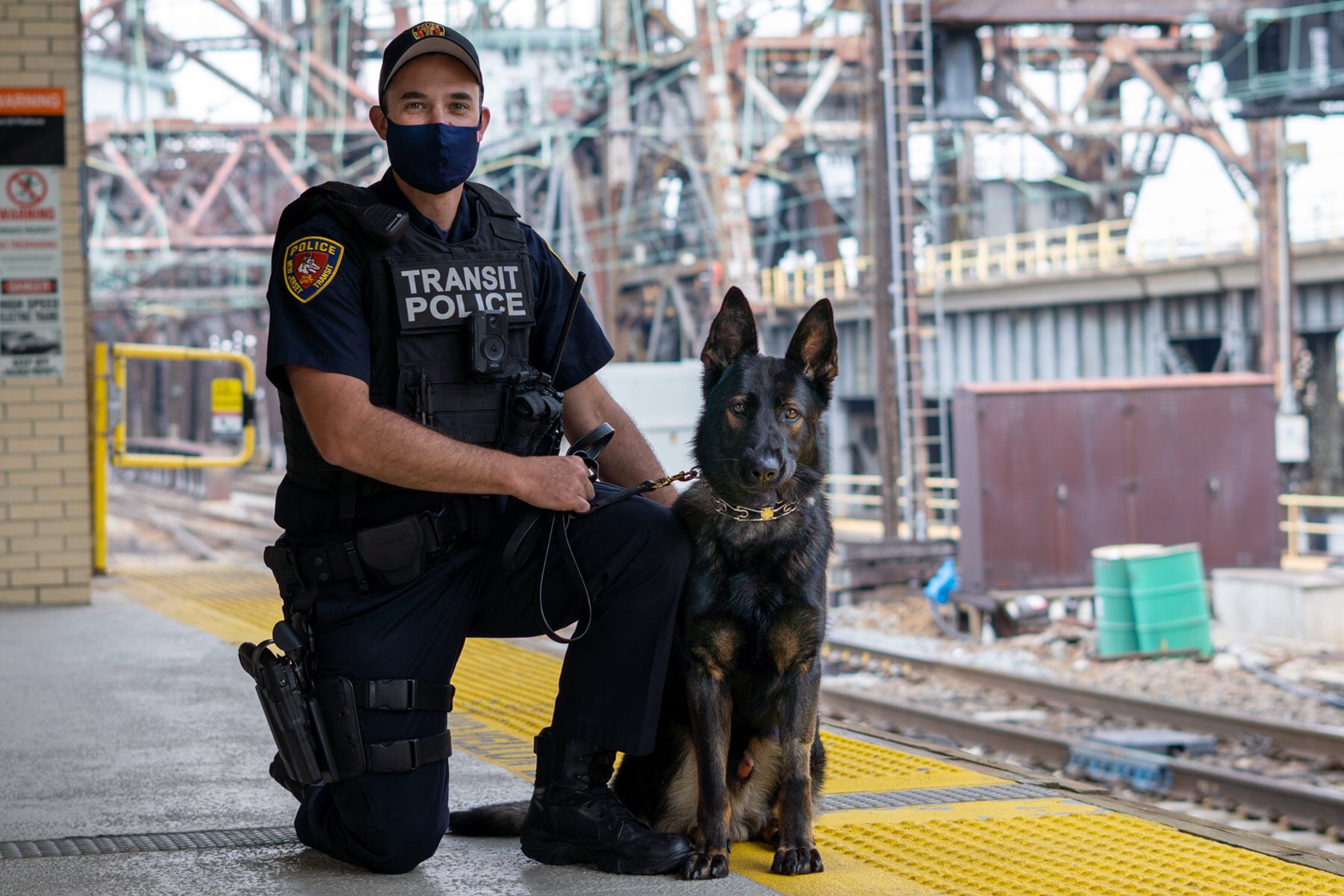 Can Dogs Go On Nj Transit