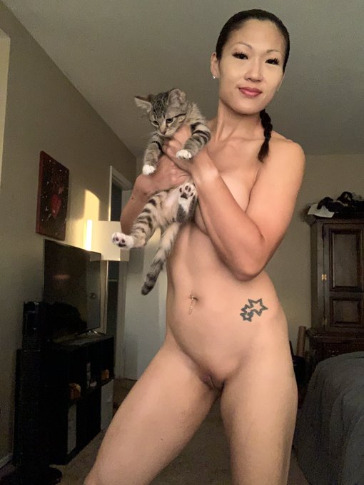 Good afternoon. 😸  This crazy kitty will eat anything and she&rsquo;ll steal it right from my plate as I&rsquo;m<a href="/tag/flashbackfriday"class="tags"><span>#flashbackfriday</span></a>