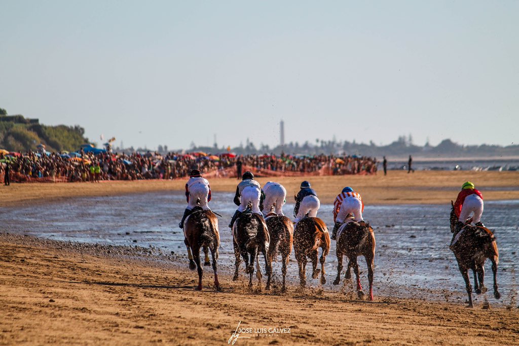 Mañana comienzan las #CarrerasdeCaballos2021 en las playas de #Sanlúcar de Barrameda. 

#Travel #Viaje #Traveler #Viajero #Photo #Foto #Photography #Fotografia #Photographer #Fotografo #Turismo #Tourism #Tourist #Turista #Landscape #Paisaje #Landscapephotography