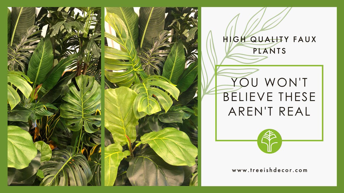 TreeishD's tweet image. Our detail oriented designs make our plants uniquely real and compatible with any decor. 

You will not believe they are not real! 

#TreeishDecor #fauxplants #artificialplants #alwaysgreen #indordecor #homedecor #plants #ecommerce #canadianbusiness #yycbusiness