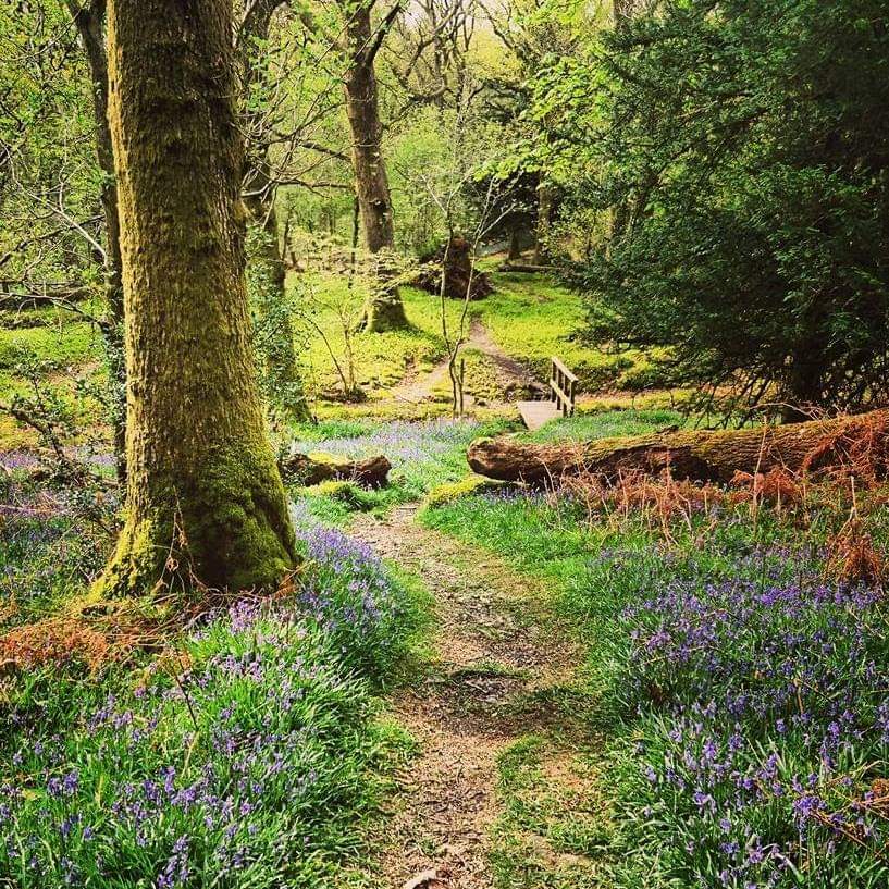 Great first day in new role with Forestry Commission promoting woodland creation in Yorkshire and North East 🌳

Expect lots more of these👇
