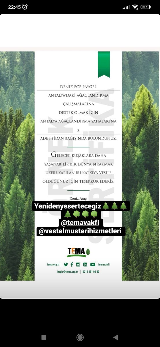 🌲🌲🌲🌳#YenidenYeşerteceğiz
