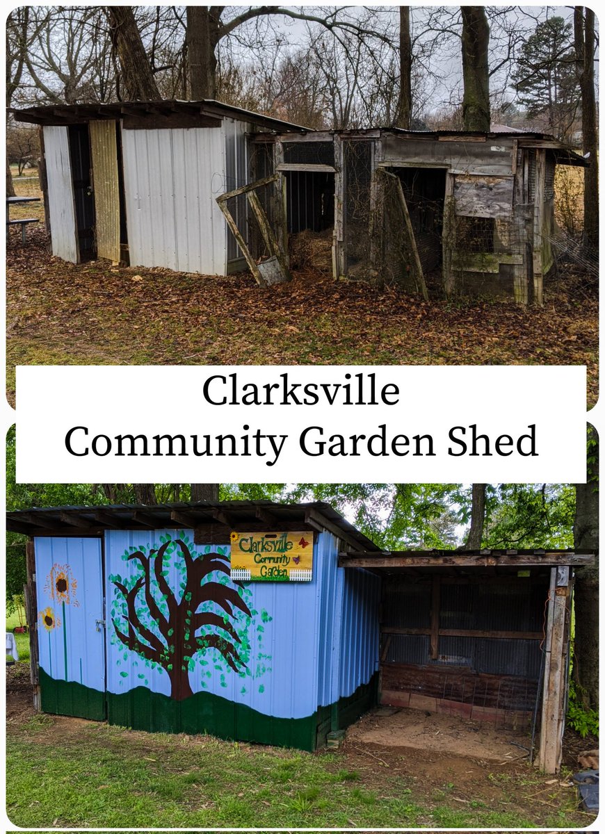 ClarksvilleArk's tweet photo. Our favorite Volunteer experience? Reviving our Clarksville Community Garden last Spring! #Year1 #cdicentral https://t.co/pUm9H6oap1